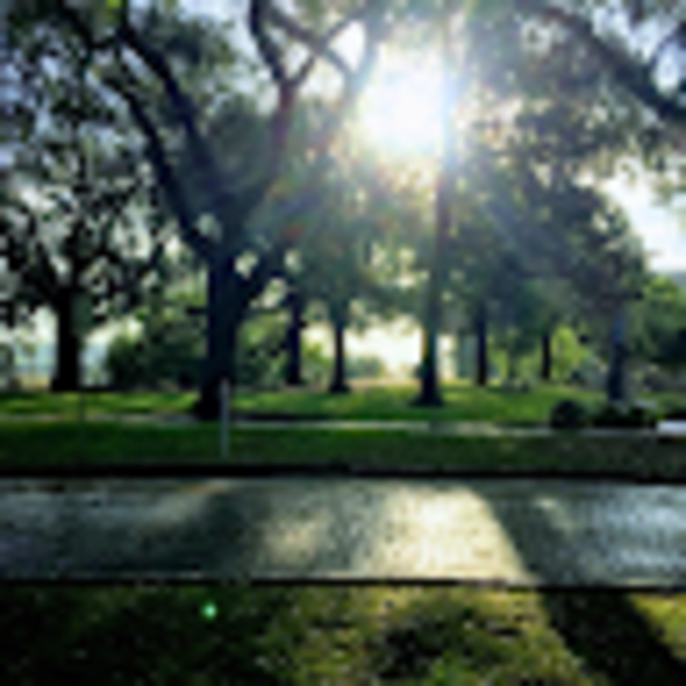 Meet your Posher, Carol